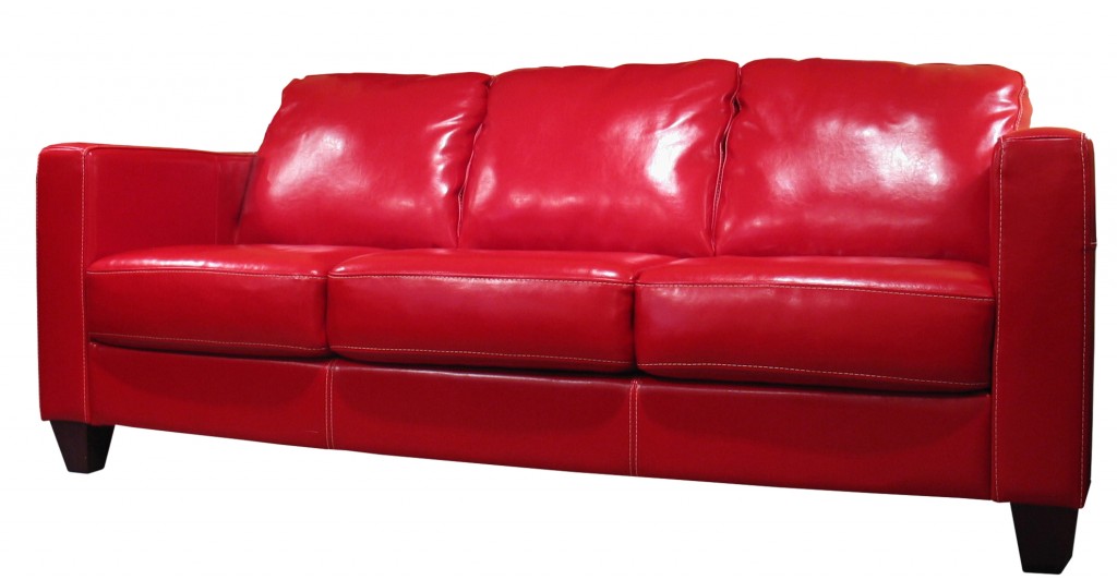 leather sofa stain protector