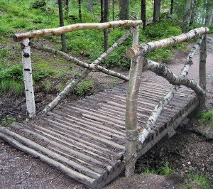 rotten wood bridge