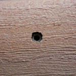 wood hole